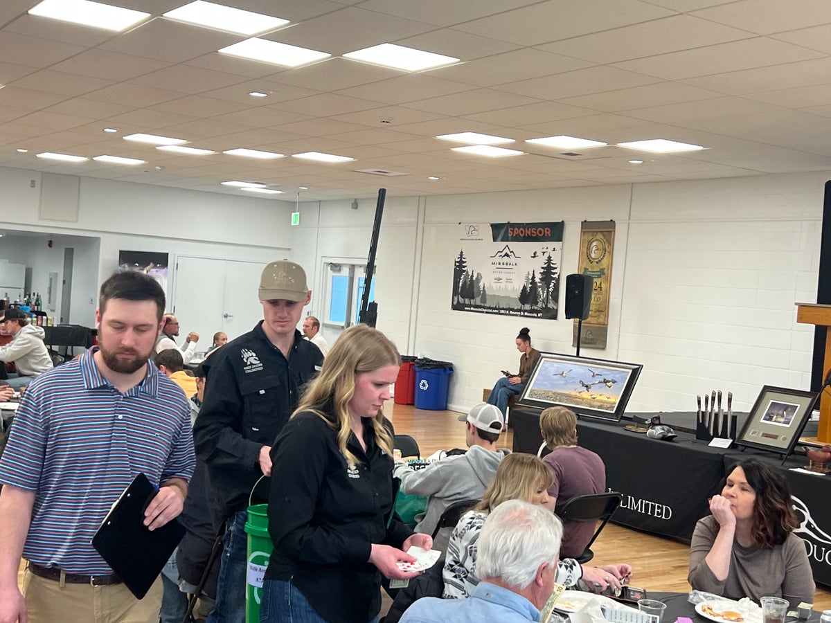 Missoula Chevrolet Griz Ducks